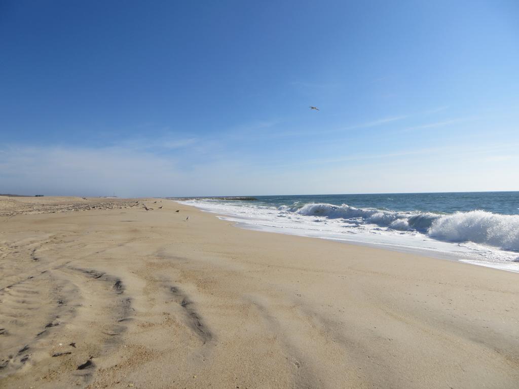 Dream House On The Beach Βίλα Figueira da Foz Εξωτερικό φωτογραφία